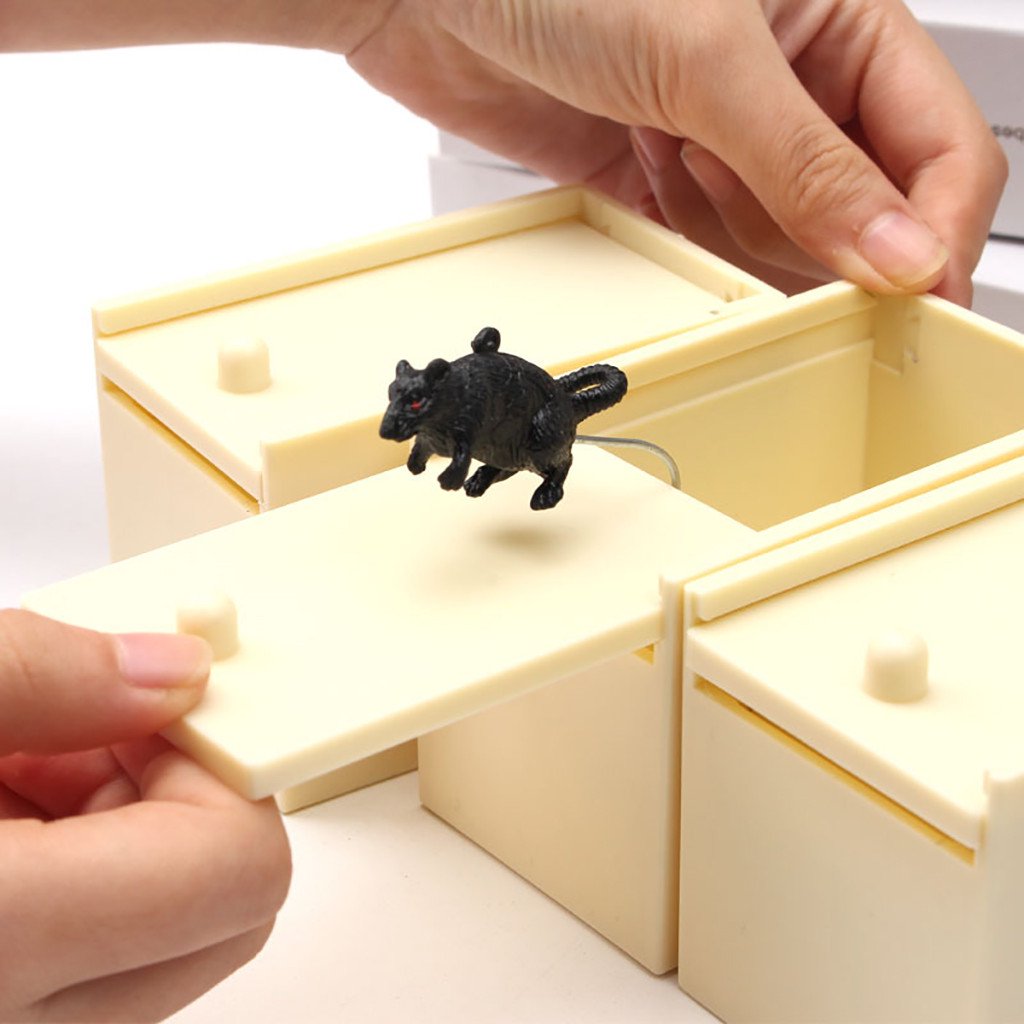 Super Funny Crazy Prank Gift Box Spider